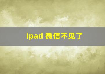 ipad 微信不见了